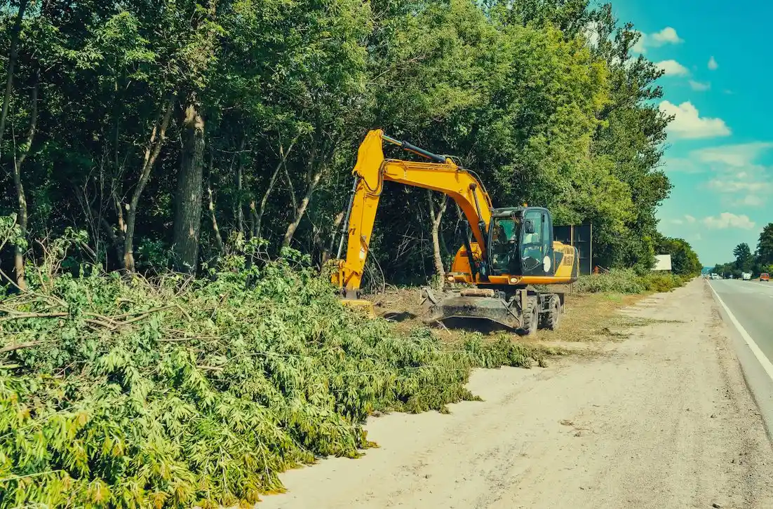 Professional Land Clearing Services in Adelaide: Preparing Sites for Progress